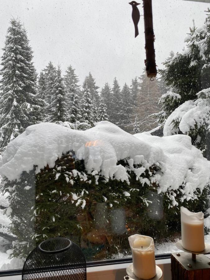 Schoenwald Waldchalet Am Musenberg Stryck Bagian luar foto
