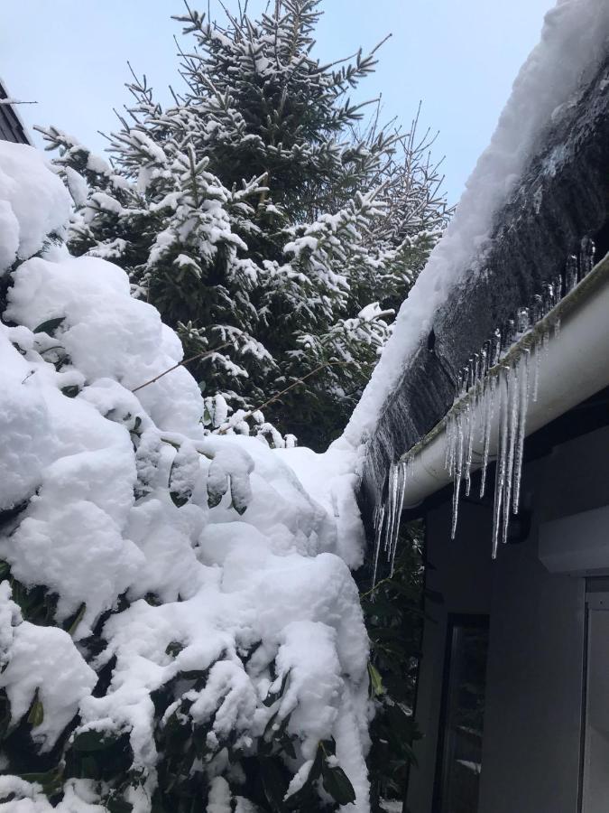Schoenwald Waldchalet Am Musenberg Stryck Bagian luar foto