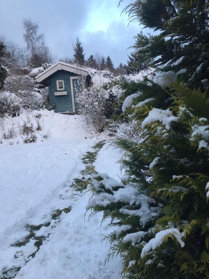 Schoenwald Waldchalet Am Musenberg Stryck Bagian luar foto
