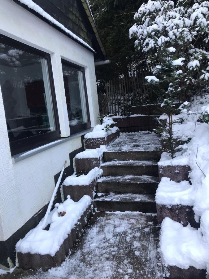 Schoenwald Waldchalet Am Musenberg Stryck Bagian luar foto